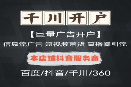 百度竞价排名机制：成功案例与策略探讨
